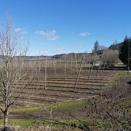 Ferienhof Hopfgaertle Mueller Bodnegg Exteriér fotografie