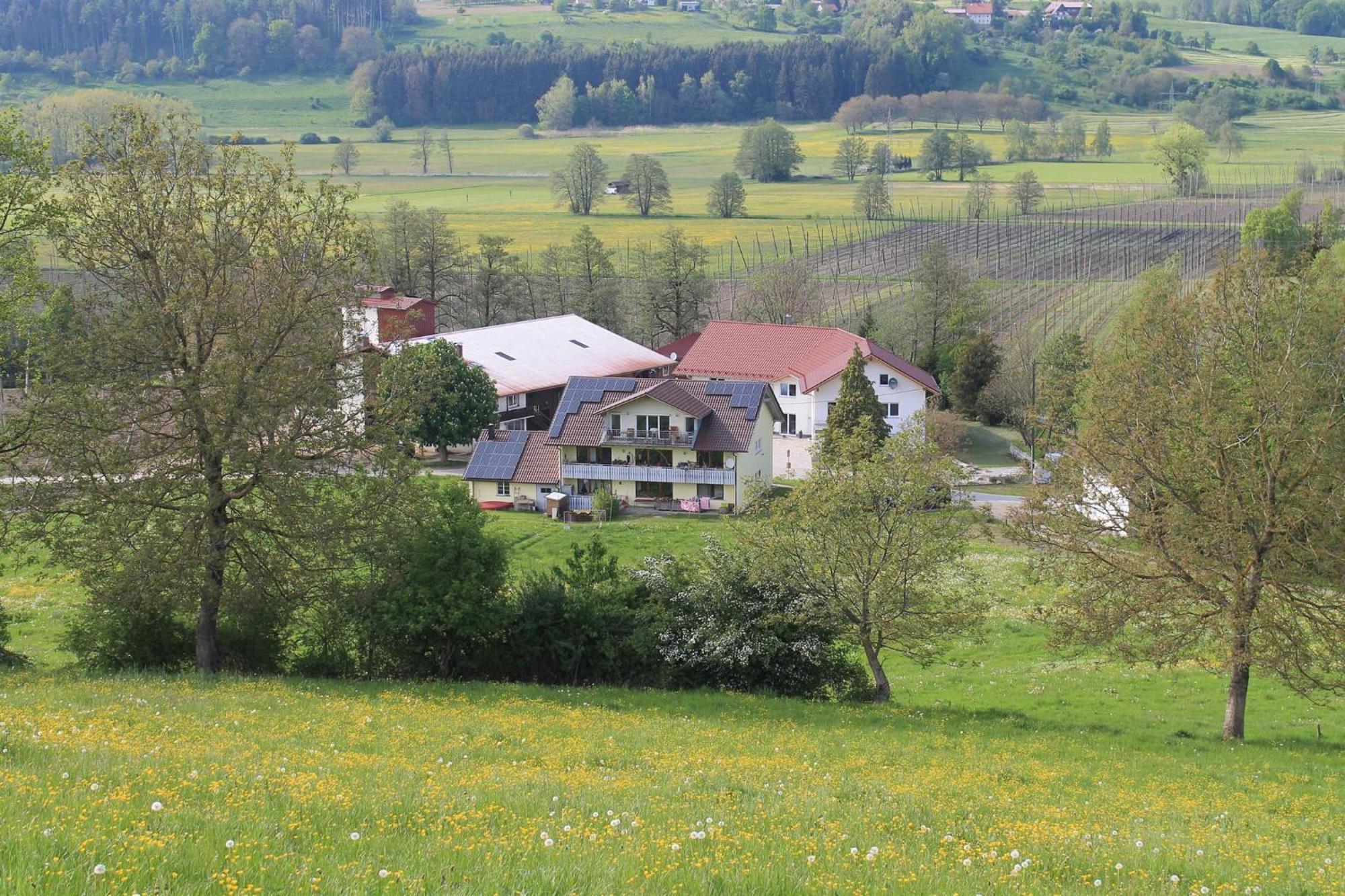 Ferienhof Hopfgaertle Mueller Bodnegg Exteriér fotografie