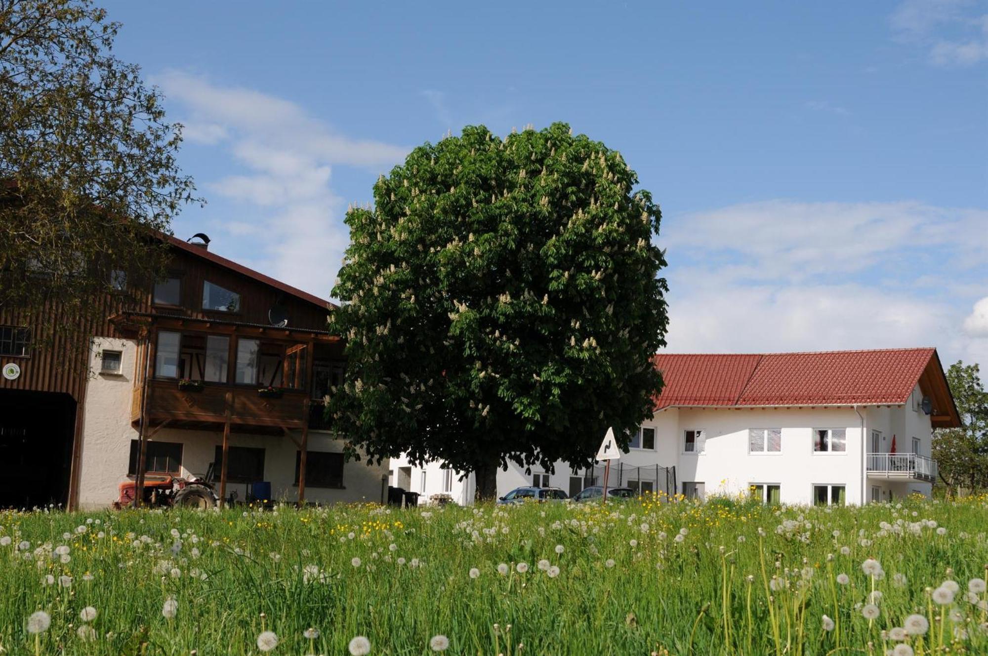 Ferienhof Hopfgaertle Mueller Bodnegg Exteriér fotografie